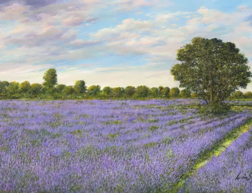 Lavander